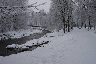 Karanlık nehri olan kış ormanı