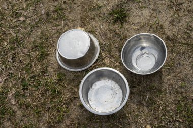 Çimlerin üzerinde demir bir hayvan kasesi var.