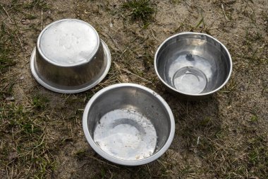 Çimlerin üzerinde demir bir hayvan kasesi var.