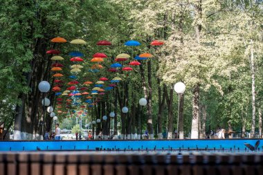 Ağaçlarda renkli şemsiyeler olan park