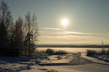 Kar, güneş, mavi gökyüzü ve karlı ağaçlarla kaplı kış manzarası