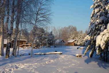 Kar, güneş, mavi gökyüzü ve karlı ağaçlarla kaplı kış manzarası