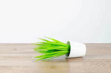 Beyaz tencerede yeşil çaydanlık. Masada yatıyor. Masaüstü. Ofis. Sorun konsepti. Sorun var..