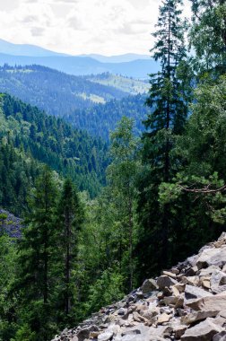 Dağlar. Dağlarda ağaçlar. Doğanın temiz havası.