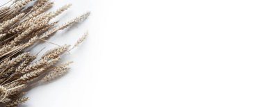Buğday, çavdar ve arpa kulakları beyaz bir arka planda. Ekmek ve yiyeceğin sembolü. Kart