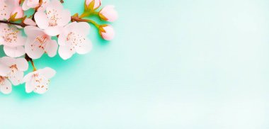 Arka planda pembe elma çiçeği. Bahar bayrağı ve kart. Bahar çiçekleri ve tomurcukları