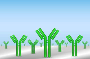 Antibodies immobilized to surface clipart