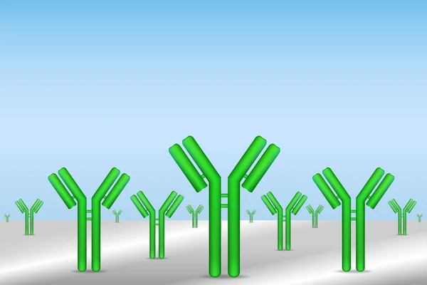 Anticorps immobilisés à la surface — Image vectorielle