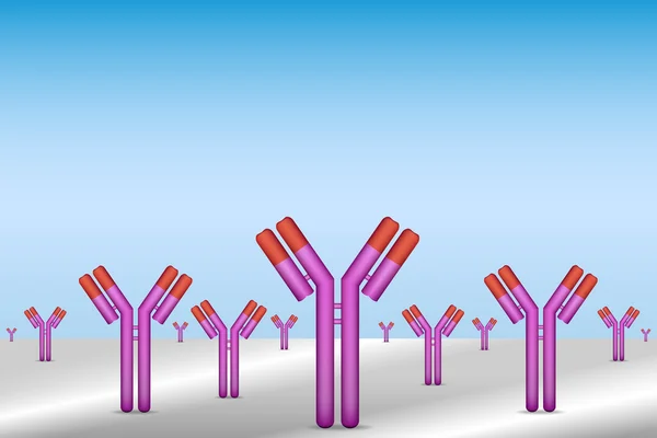 Antikörper an der Oberfläche immobilisiert — Stockvektor