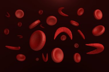 Sickle and normal red blood cells clipart