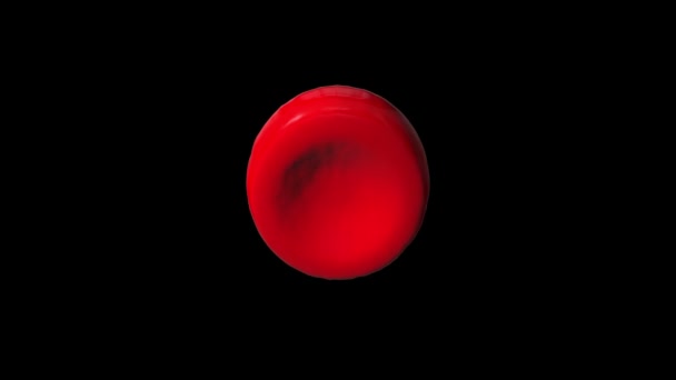 Single Red Blood Cell rotating seamless loop — Stock Video