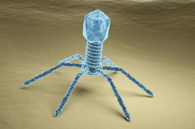 Bacteriophage virus electron microscopy image clipart