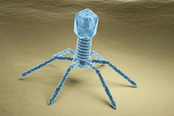 Bacteriophage virus electron microscopy image — Stock Photo, Image