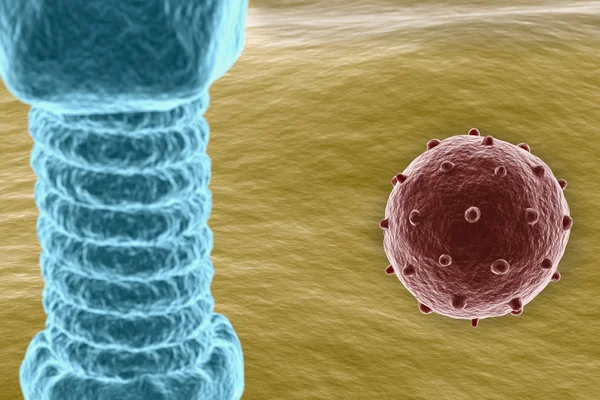 Virüs hücre yüzeyinde — Stok fotoğraf