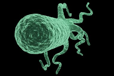 Rod-shaped Bacteria with flagella isolated clipart