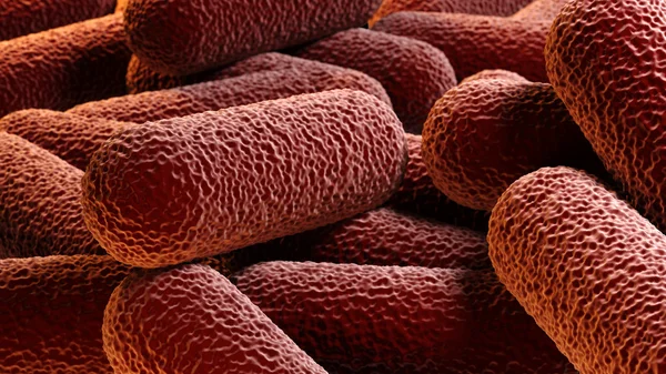 Crowd of rod-shaped bacteria — Stock Photo, Image