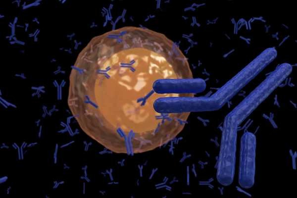 Plasmazelle b-Lymphozyte produziert Antikörper isoliert auf schwarz — Stockfoto