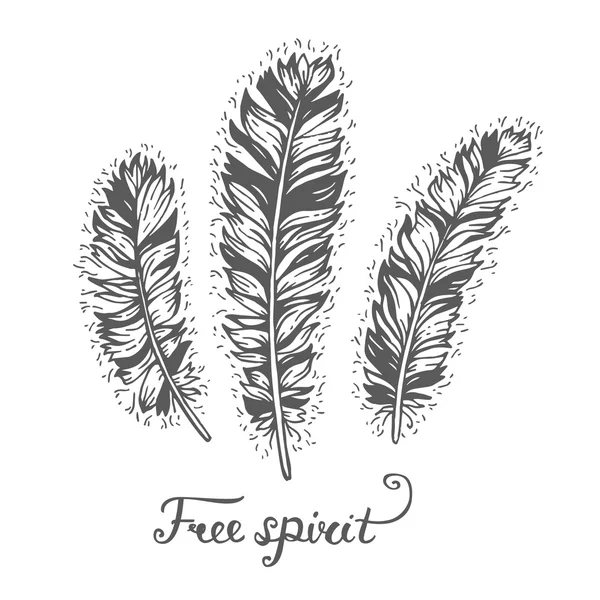 Affiche avec 3 plumes ethniques décoratives dessinées à la main avec le texte "Esprit libre". Concept de liberté. Style Boho et hippie. Motifs indiens américains. Illustration vectorielle. Fond de thème tribal avec plumes . — Image vectorielle