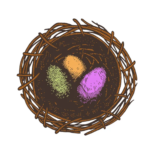 Paskalya yumurtaları ve yuva. Izole. Renkli yumurta ve beyaz arka plan üzerinde yuva — Stok Vektör