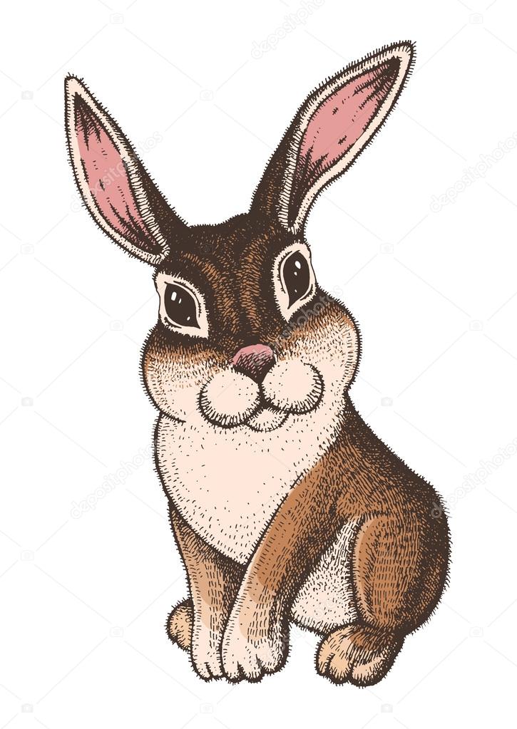 main dessinée couleur croquis de lapin de pâques. illustration art