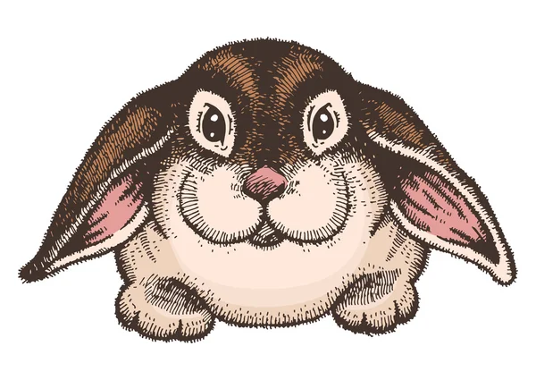 El çekilmiş renkli taslağını Paskalya tavşanı. Vintage hat sanat resimde beyaz arka plan üzerinde. Vektör. İzole — Stok Vektör