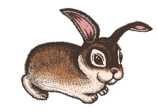 Croquis de lapin de Pâques dessiné à la main. Illustration d'art de ligne vintage sur fond blanc. Vecteur. Isolé — Image vectorielle