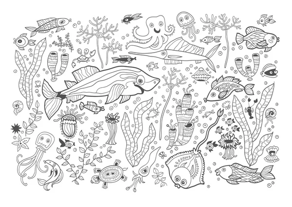 Tarjeta vectorial marina aislada sobre fondo blanco. Dibujo para colorear para adultos y niños. Animales marinos. Blanco y negro . — Archivo Imágenes Vectoriales