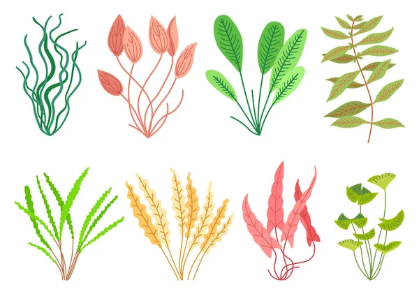 Tatlı karikatür akvaryum bitkileri seti. Vahşi yaşam doğası — Stok Vektör