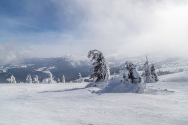 Karla kaplı Noel ağaçları kayak merkezindeki dağın tepesinde.