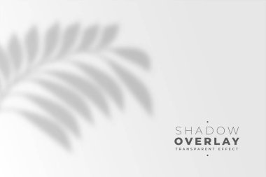 geride gölge efekti arkaplanı