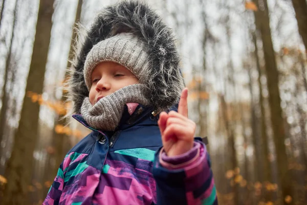 Herfst Portret Van Schattig Klein Kaukasisch Meisje Het Koude Bos — Stockfoto