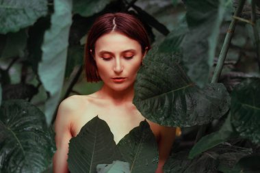 Beauty face woman bare shoulders behind green leaf plant. Portrait of caucasian woman's face surrounded by tropical leaves. Natural cosmetic, wellness, purity, skincare, beauty concept