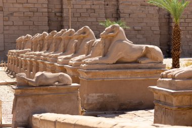 Rams Karnak Tapınağı Sokak, Süvariler Salonu. Luxor, Mısır