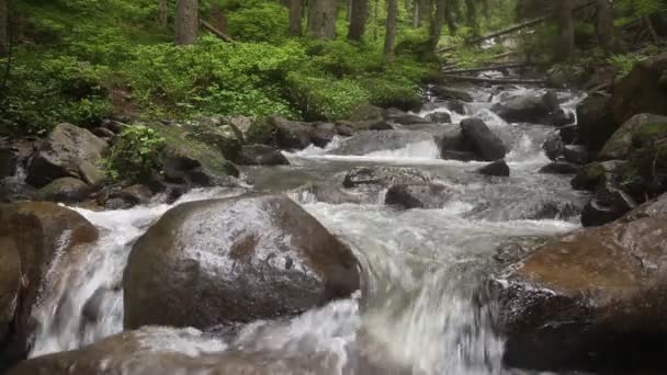 Montañas Cascada Del Río Sobre Las Rocas Bosque Con Larga — Vídeo de stock