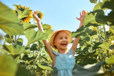Mutlu kız çocuğu mavi gökyüzü arka planında çiçek açan ayçiçeği tarlasında eğleniyor. Özgürlük kavramı