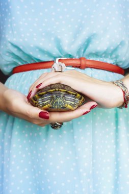 Trachemys scripta. Freshwater red eared turtle in woman hands clipart
