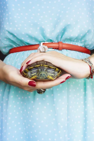 Trachemys scripta. Tatlı su kırmızı kulaklı kaplumbağa kadın elinde — Stok fotoğraf