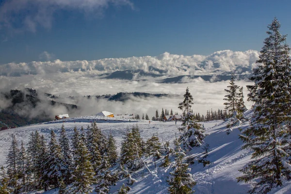 Dragobrat Ukrajna. Festői alpesi Ski resort — Stock Fotó