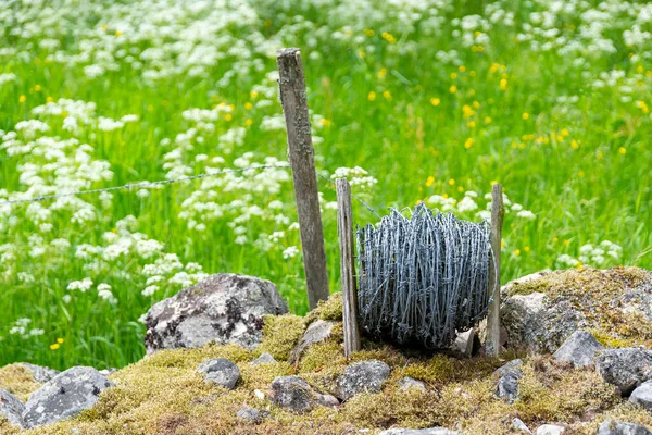 Roll Barbed Wire Ground Green Grass Fence Construction Country Side — Stock Photo, Image