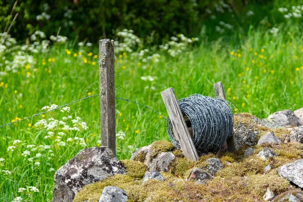 Roll Barbed Wire Ground Green Grass Fence Construction Country Side — Stock Photo, Image