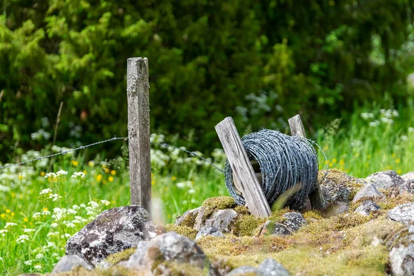 Role Ostnatého Drátu Zemi Zelená Tráva Výstavba Plotu Venkově Zabezpečení — Stock fotografie