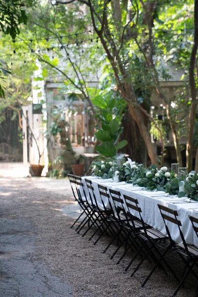 Ajuste Mesa Boda Jardín Con Tema Vintage Mínimo Entorno Luz Fotos De Stock Sin Royalties Gratis