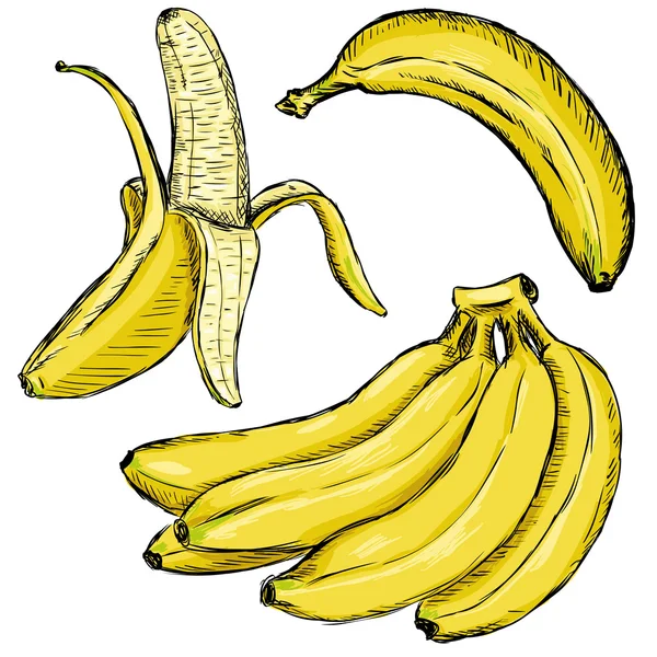 Set van gele bananen — Stockvector