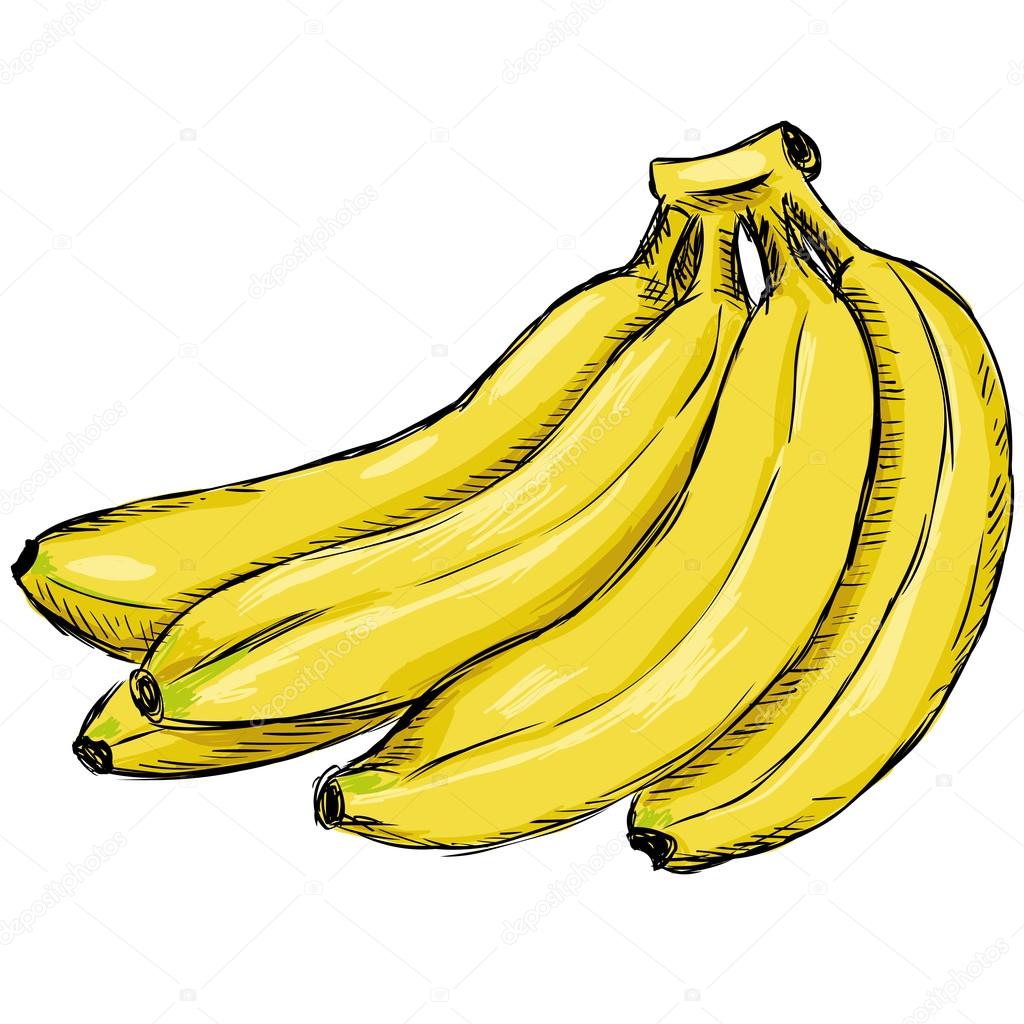 Download Banana, Bunch, Education. Royalty-Free Vector Graphic