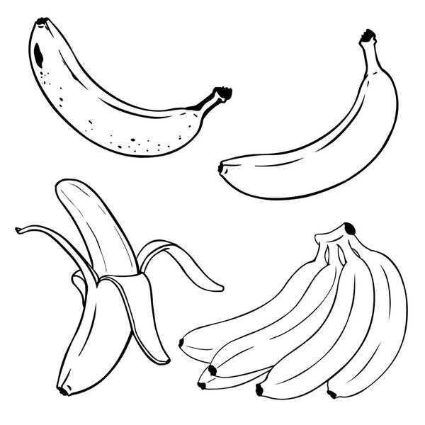 Set of Line-Art Bananas 