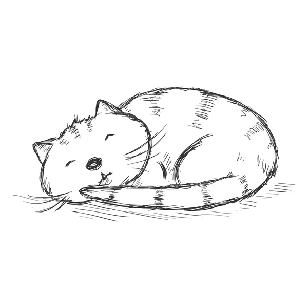 Croquis drôle de chat — Image vectorielle