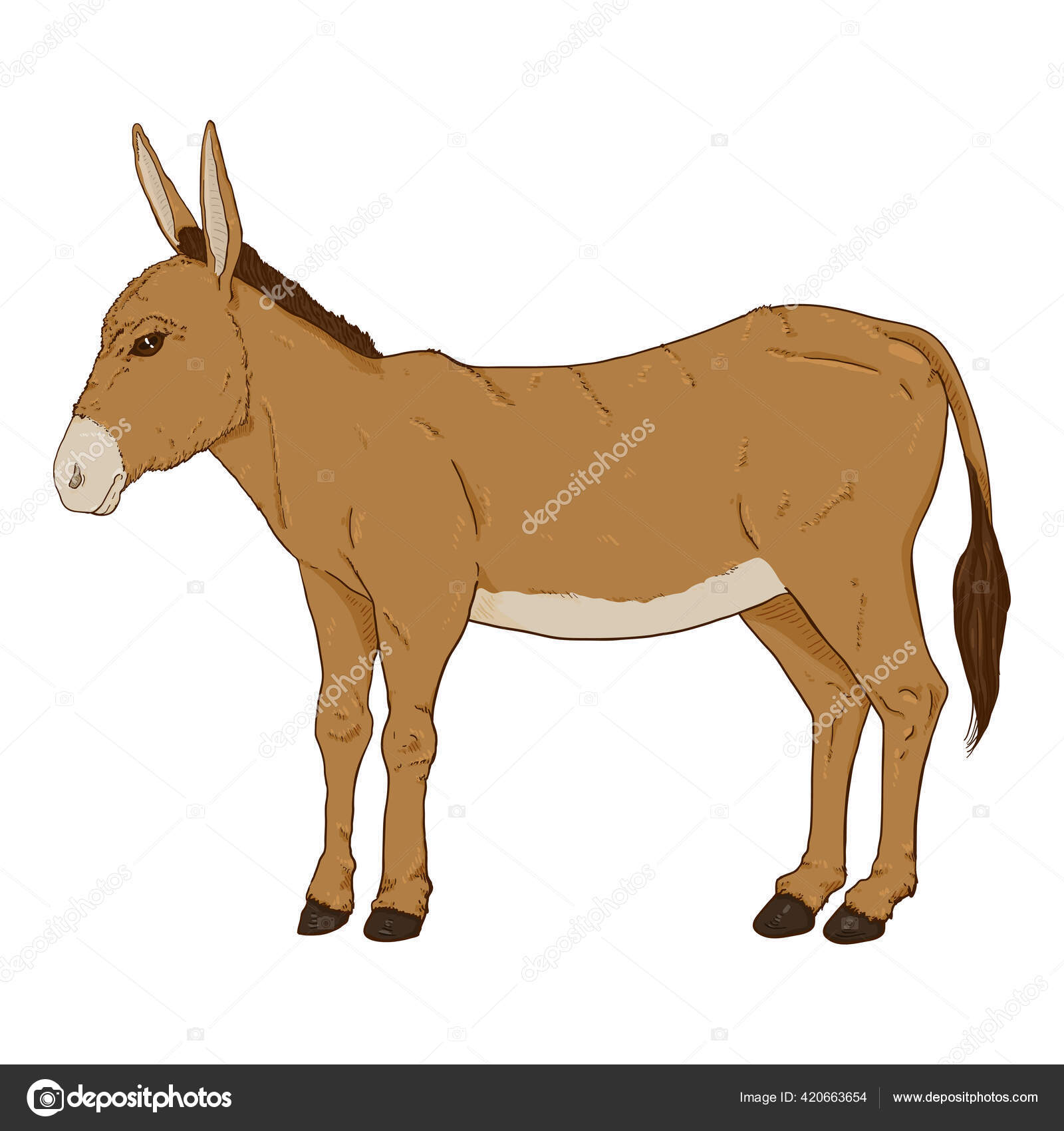 Cartoon Brown Donkey Vector Hand Drawn Illustration Stock Vector by ...