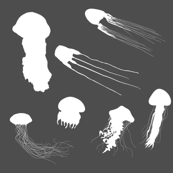 Vector Set White Silhouette Jellyfish Black Background — стоковый вектор