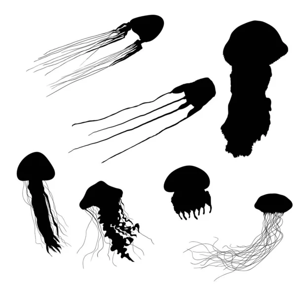 Vector Set Black Silhouette Jellyfishes — Stock Vector