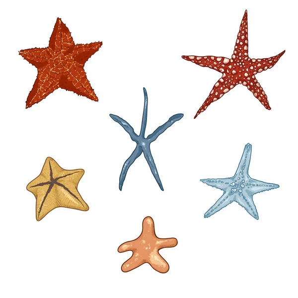 Vektorová Sada Karikaturních Hvězdic Symboly Mořského Života — Stockový vektor
